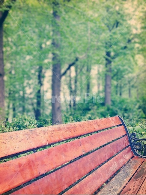 숲,의자,여유,산책,힐링,생각,bench,공원,자연,풍경,nature,landscape
