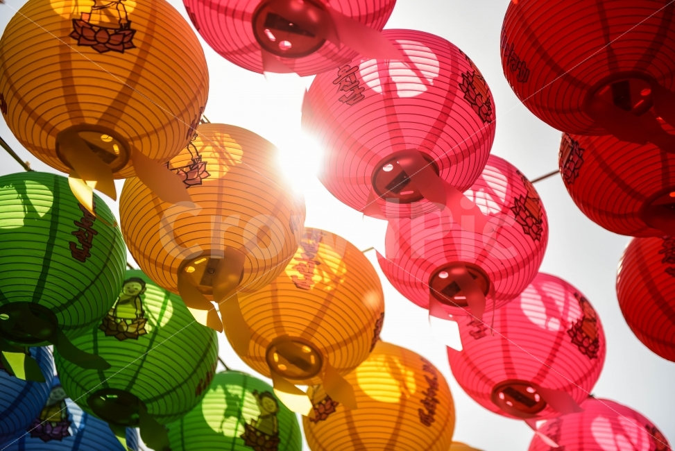 사찰,서울,풍경,스냅,한국,봉은사,연등,색상,빨강,분홍,노랑,햇빛,한국전통,한국문화,korean traditional,korean culture,종교,신앙,religion,belief,faith,기념일,축하,anniversary,congratulation,celebrate,celebration,축제,행사,festival,carnival,event
