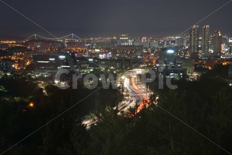 울산,함월루,선암동,야경,울산대교,대교,울산야경,차궤적,도로궤적,하늘,저녁하늘,도시,도시야경,도시불빛,불빛,nightscape,sky,nightsky,bluesky,city,citylight,cartrace,roadtrace,도시,풍경,city,landscape,교통,교통수단,traffic,transportation,야경,밤,nightscape,night,nature,자연,outdoors,옥외,경치,scenery,road,도로,aerial view,조감도