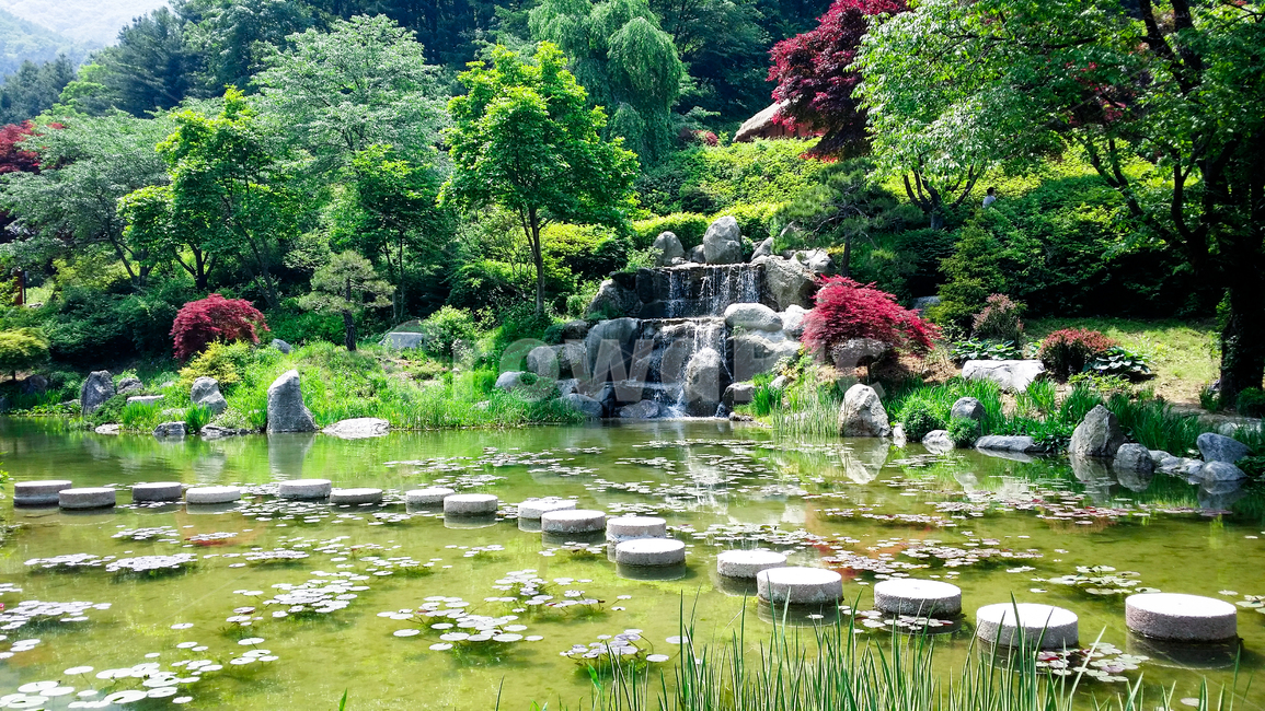 garden,정원,호수,lake,나무,tree