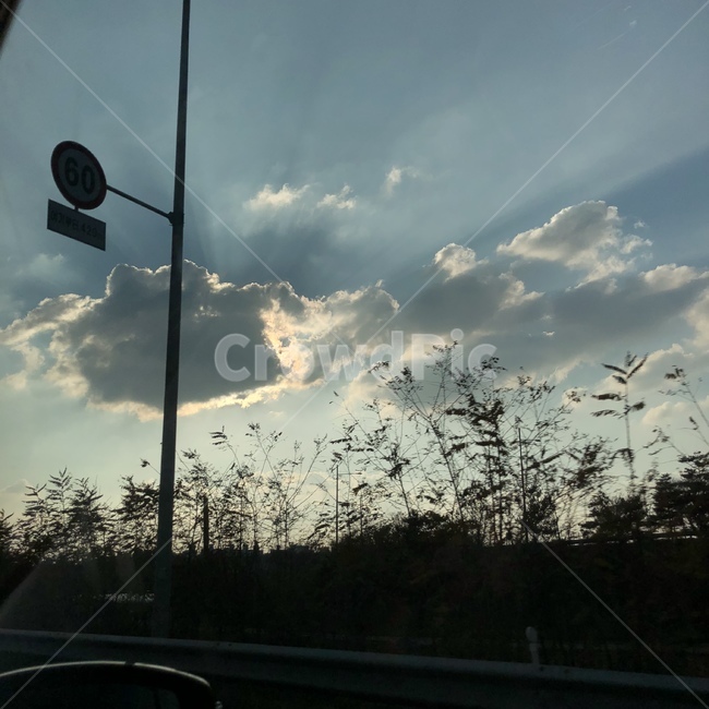 하늘,구름,노을,갈대,표지판