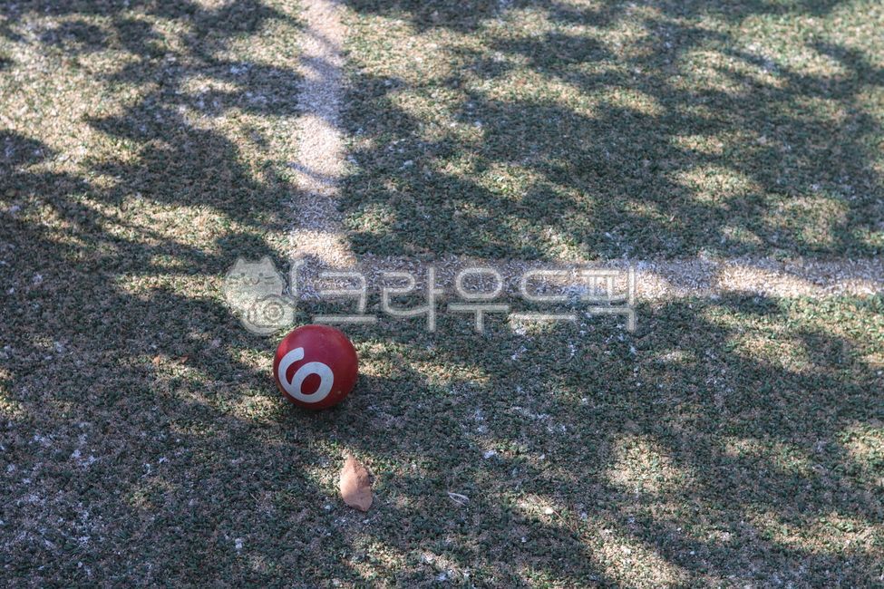 Ball,Gateball,Artificial Grass,Shadow,Ball,Gateball