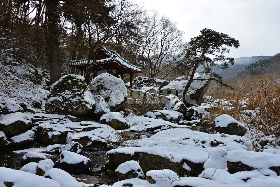 nature,자연,outdoors,옥외,ice,빙,plant,식물,tree,나무,roof,지붕,바위,광주,북구,무등산,풍암정,풍암정설경,설경,겨울,계절,눈