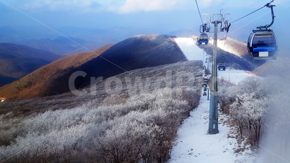 스키장,보드,스키,눈,곤돌라,겨울산,겨울,계절,winter,season,자연,풍경,nature,landscape,한국자연풍경,한국자연경관,korea nature landscape,스포츠,레저,운동,sports,leisure,exercise