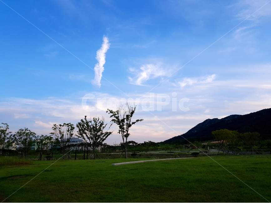 홍예공원,공원,구름,파랑하늘,풍경,봄,자연,풍경,nature,landscape,식물,plants,나무,trees,wood,grass,잔디,plant,outdoors,옥외