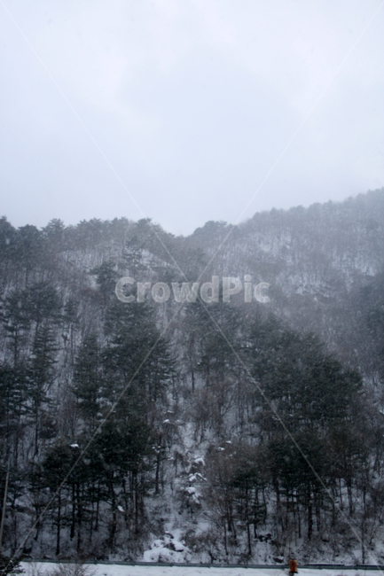 겨울,산,나무,눈,풍경,snow,겨울,계절,winter,season,자연,풍경,nature,landscape,outdoors,옥외