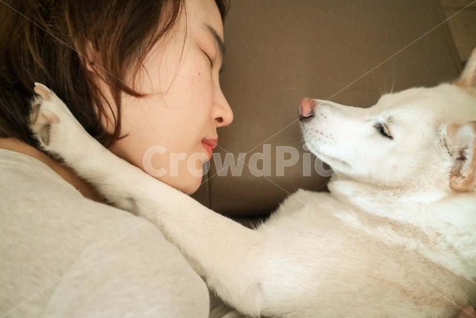 휴식,강아지,시바견,백시바,애완견,애견,교감,사랑,모델,인물사진,동물,animal,포유류,mammal,개,강아지,dog,doggy,사람,인물,인간,human,person,얼굴표정,facial expression,face,여성,여자,woman,female,lady,감정표현,기분,feeling,emotion
