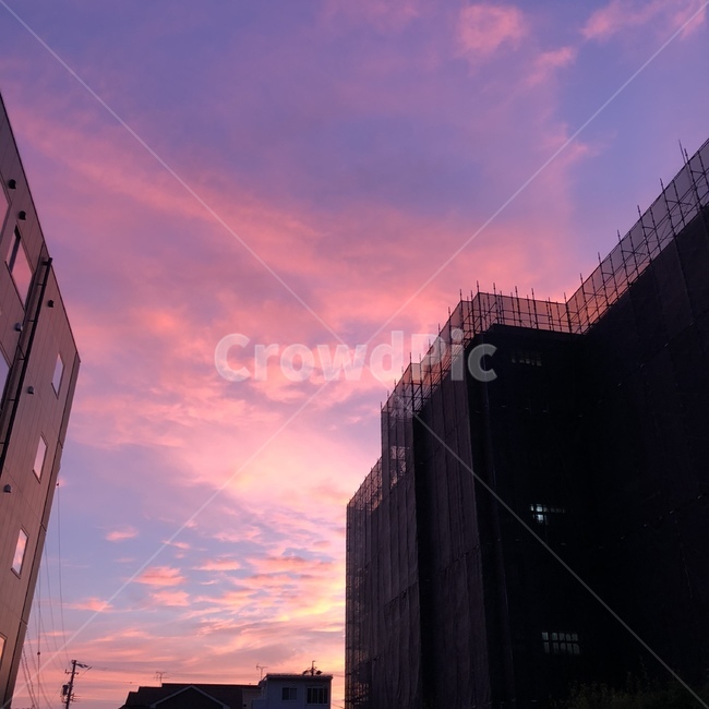 하늘,보라색,핑크색,감성사진,일본,건축물,건물외관,exterior,building,structure,architecture,construction