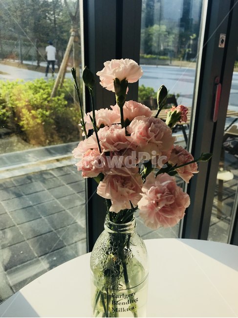 꽃,유리병,햇빛,탁자,봄,실내용화초,화분,화초,house plant