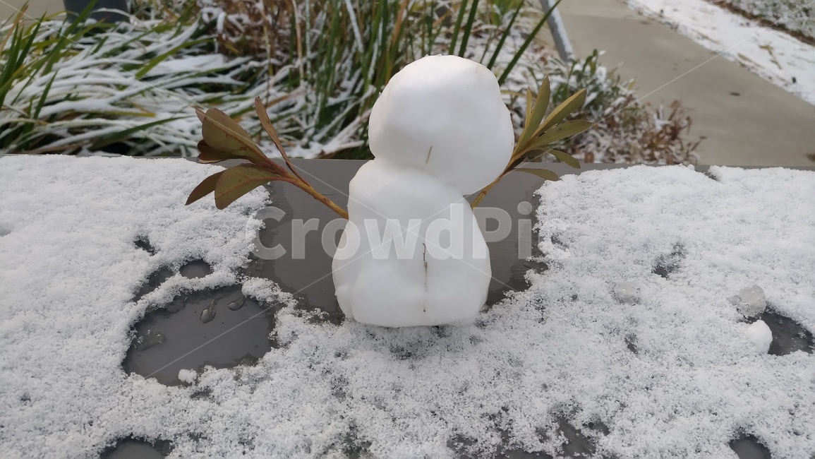 눈사람,눈,겨울,하얀색,얼음,겨울,계절,winter,season