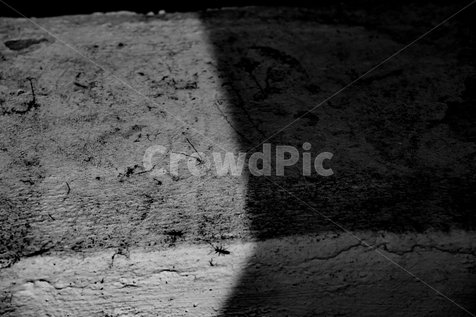 흑백,흑백사진,감성사진,빈티지느낌,빈티지감성,벌레,그림자,흑백,모노톤,monochrome,black and white