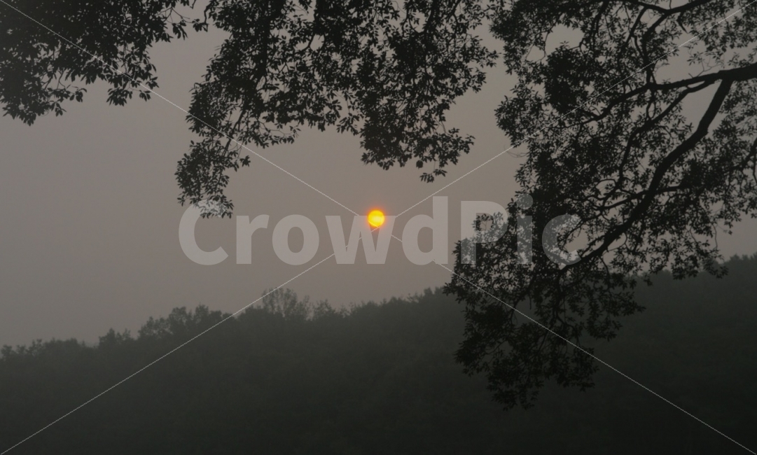 일출,태양,해,풍경,자연,배경,일상,아침,색감,자연,풍경,nature,landscape,weather,날씨,outdoors,옥외,light,빛,flare,플레어