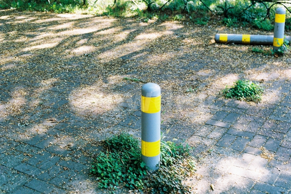 낙엽,클로버,도로,아파트,골목