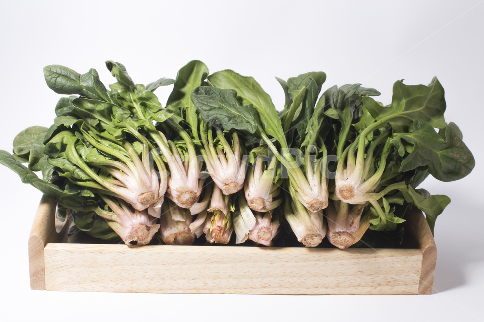 시금치,야채,채소,유기농,식품,녹색,녹색채소,식재료,뿌리,채소,야채,vegetables