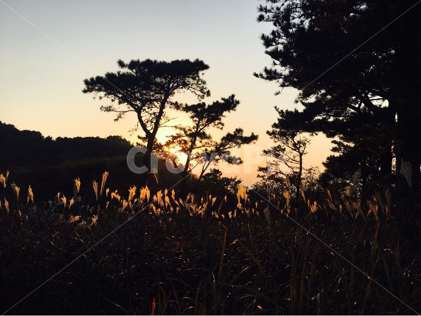 노을,sunset,승학산,mountain,하단,을숙도,낙동강,자연,풍경,nature,landscape,실루엣,그림자,silhouette,shadow,outdoors,옥외,dusk,황혼,dawn,새벽,red sky,붉은 하늘,sky,하늘,일몰