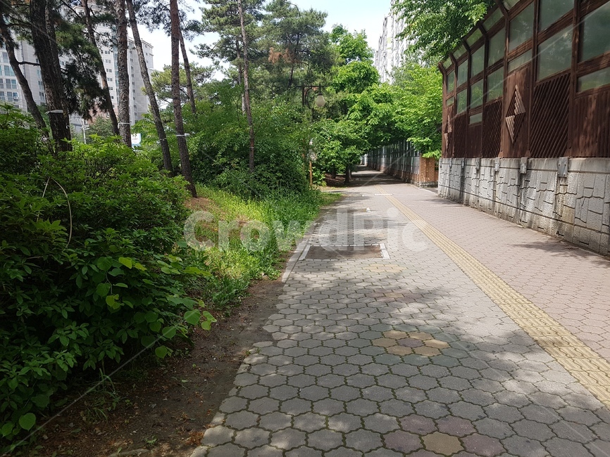 통로,walkway,보도,sidewalk,타일,길,road
