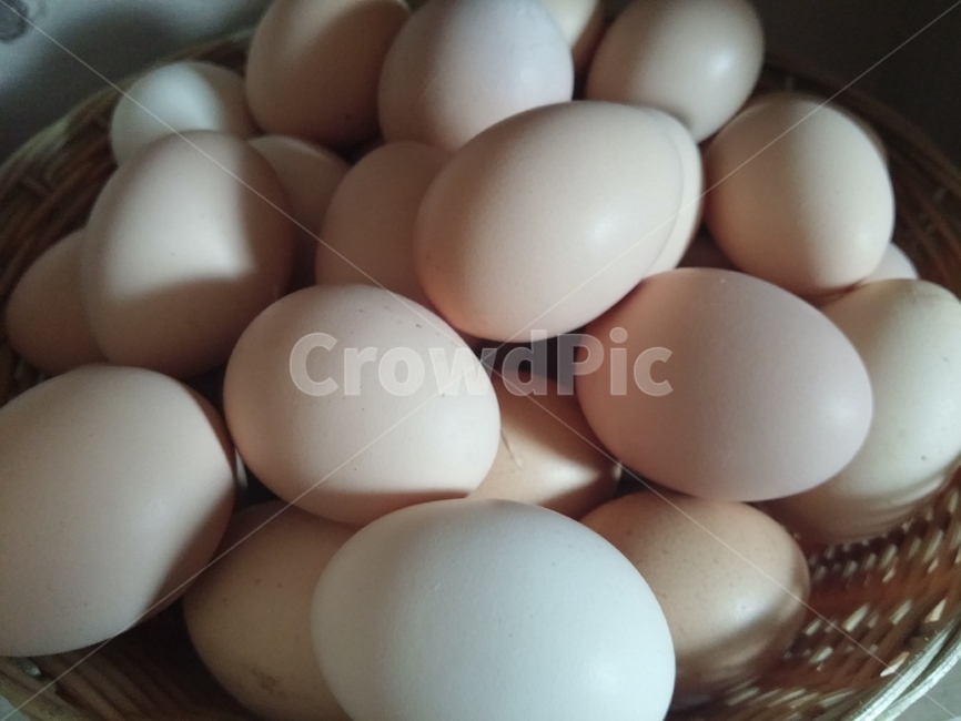 계란,달걀,닭알,계란바구니,food,egg,음식