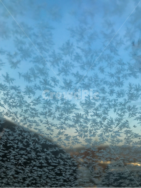 눈,눈모양,결정,창가,서리,겨울,하늘,텍스처,질감,패턴,texture,pattern