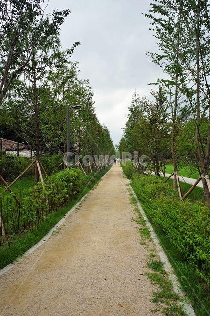 경의선숲길,가로수,산책로,인공조성,나무,버팀목