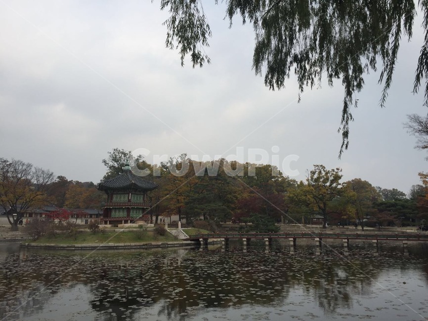 architecture,건축물,building,건물,경복궁
