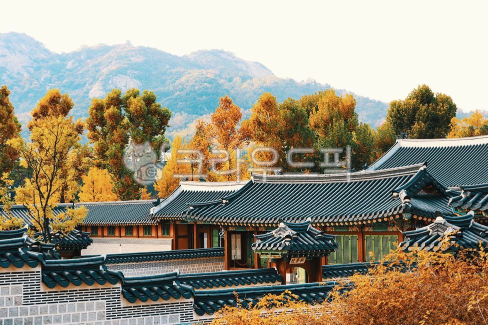 경복궁,단풍,가을,고궁,궁,궁궐,단청,배경화면,바탕화면,wallpaper,architecture,건축학,building,건물
