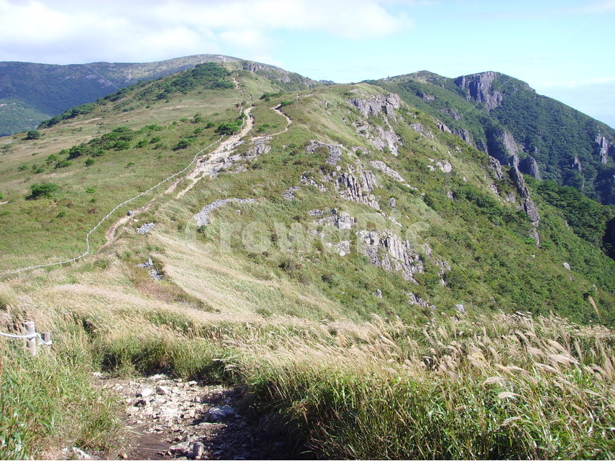 산,영남알프스,신불산,간월산,영축산,갈대,가지산,자연,풍경,nature,landscape,한국자연풍경,한국자연경관,korea nature landscape,outdoors,옥외,slope,경사,hill,언덕