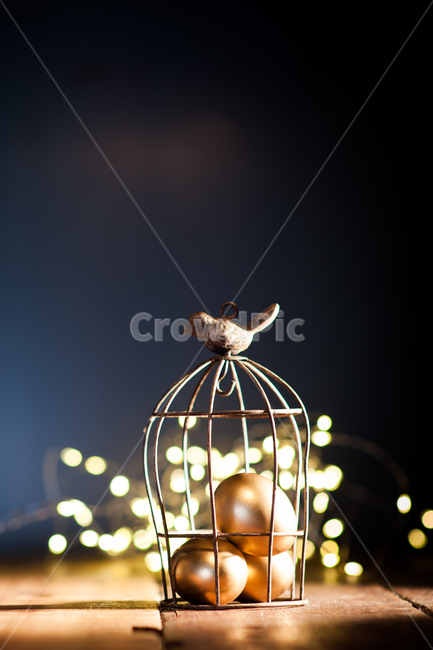 lamp,램프,새,lighting,조명,사물,물건,오브젝트,thing,object,matter
