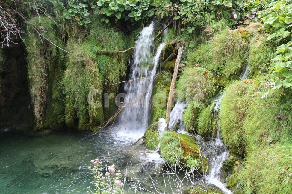 크로아티아,크로아시아,플리트비체,croatia,plitvice,plitvica,국립공원,공원,폭포,숲,요정숲,연못,강,호수,나무,여름,유럽,waterfall,pond,lake,park,tree,forest,자연,풍경,nature,landscape