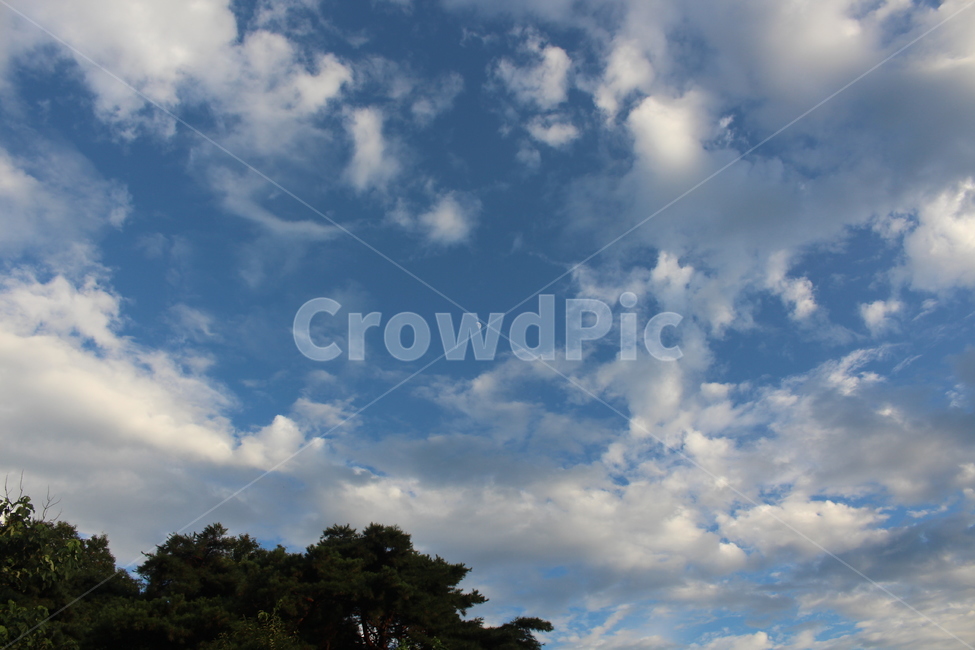 nature,자연,outdoors,옥외,weather,날씨,cloud,구름,cumulus,적운,sky,하늘,흐림,달,흐린하늘,흐린날씨,배경,자연,풍경,nature,landscape