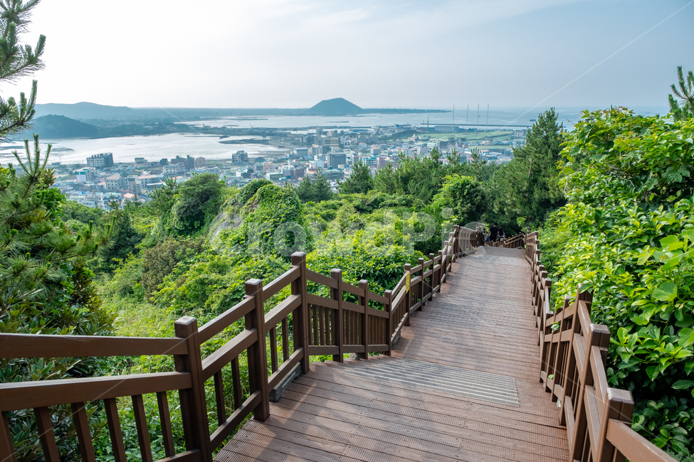 제주,제주도,성산일출봉,풍경,아름다운풍경,바다,섬,nature,land,jeju,경치,자연,올레길,계단,난간,산책길,제주시내,항공뷰,자연,풍경,nature,landscape,제주도,jeju,jeju island