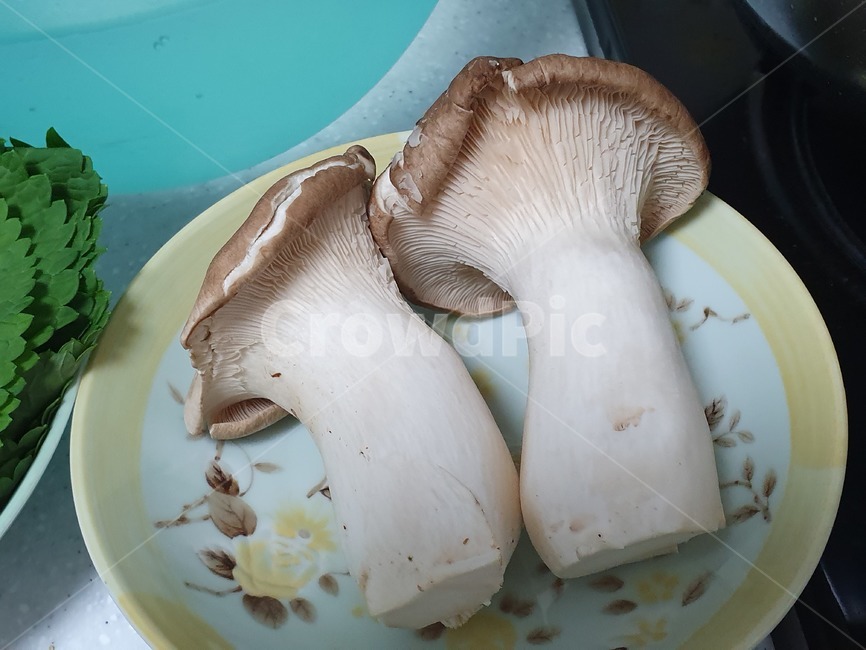 버섯,새송이버섯,표고버섯,식자재,재료