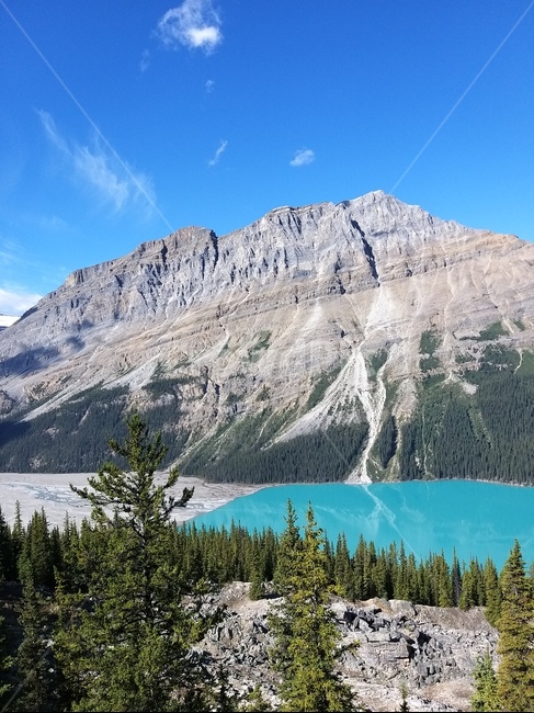 outdoors,옥외,nature,자연,전나무,mountain,tree,plant,캐나다로키,빙하호수,에메랄드호수,설산,캐나다,canadarocky,mountainrange,자연,풍경,nature,landscape,해외,외국,세계,foreign,oversea,world,세계자연풍경,해외자연풍경,외국자연풍경,world nature landscape