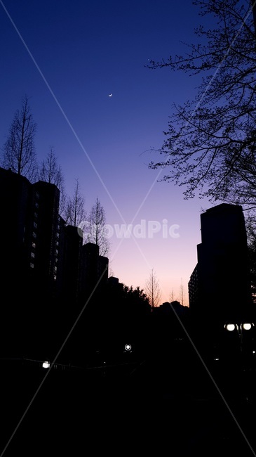 silhouette,실루엣,nature,자연,옥외,outdoors,야경,night,sky,nightsky,하늘,밤하늘,밤,저녁,달,moon,star