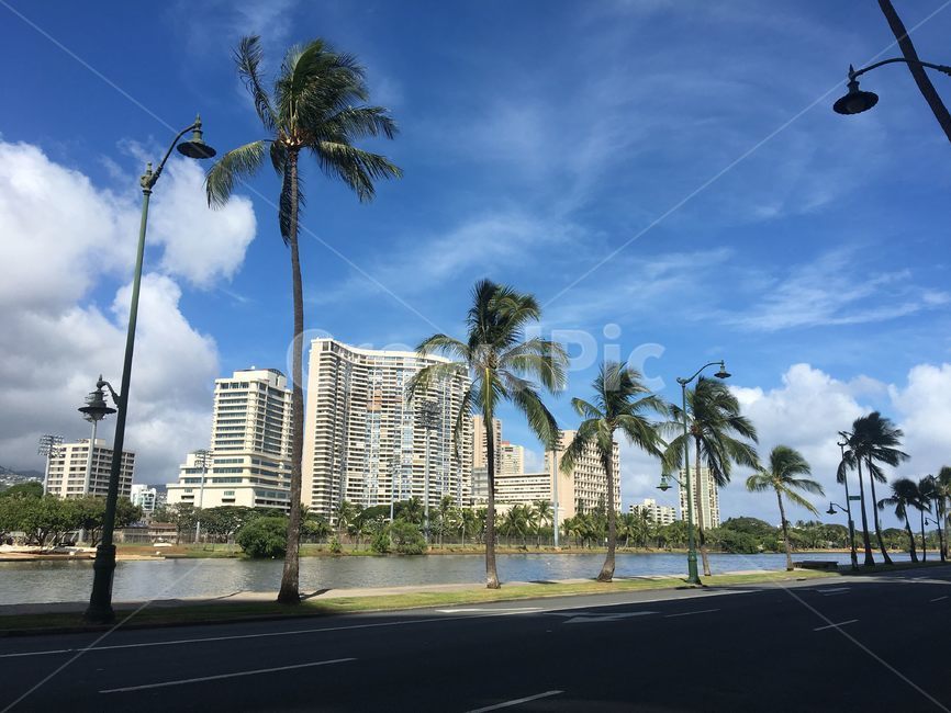 hawaii,건축물,tower,building,건물,oean,sky,cloud,하늘,바다,풍경,scenery,자연,nature,경치,뷰,landscape,해외,미국,city,시티,어반,urban,highrise,고층건물,town,도시,강,river,거리,도로,palmtree,야자수,street,asphalt,road,가로등,streetlight,daytime,sunny,하와이