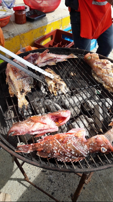 홍도,불볼락,생선구이,human,food,바베큐,음식,fish,섬,열기,음식,식재료,요리,food,cook,meal,dishes,food reserves