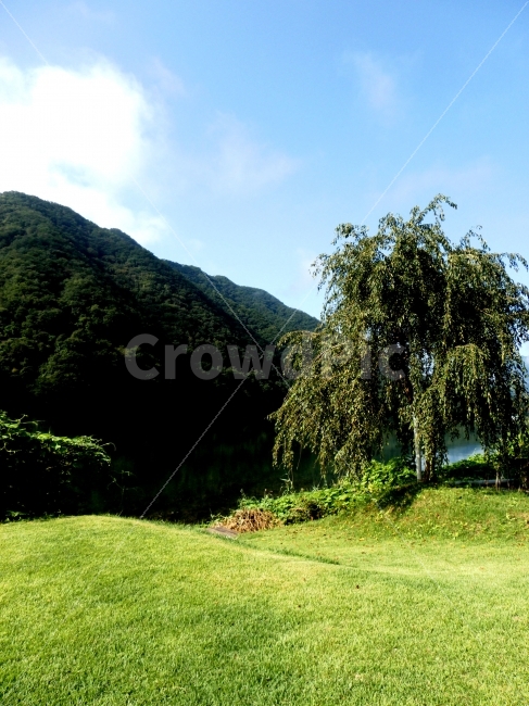 하늘,산,구름,나무,맑음,자연,풍경,nature,landscape,outdoors,옥외,plant,식물,grass,잔디