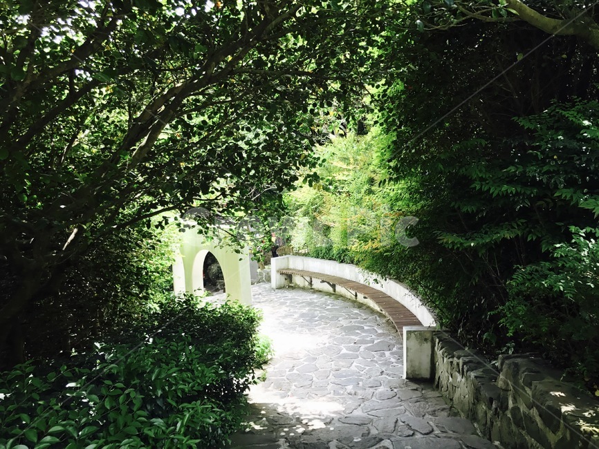 숲속쉼터,숲속,산책로,forest,trail