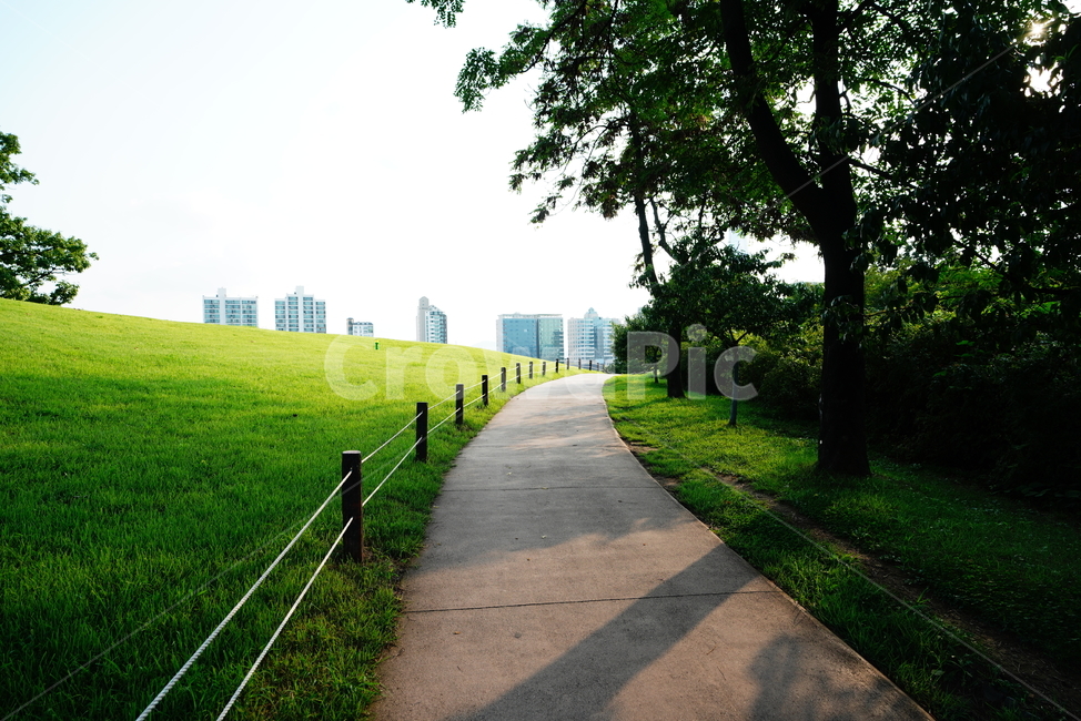 자연,길,공원,풍경,그린,녹색,grass,잔디,plant