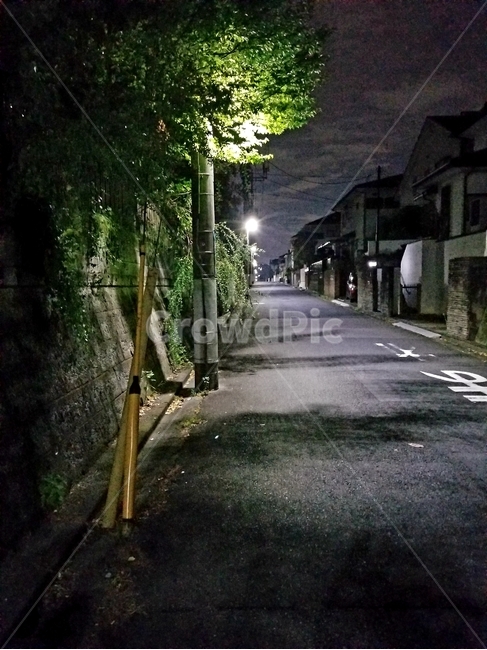아스팔트,도로,거리,도시,밤,road,asphalt,조용함,야경,밤,풍경,nightscape,night,landscape