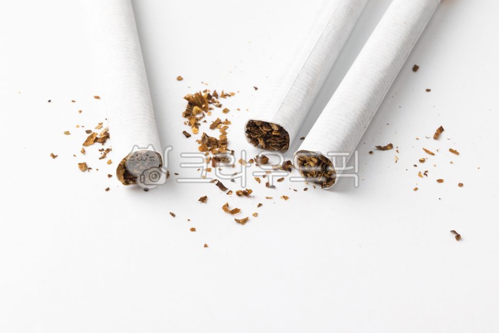 담배,중독,건강,습관,니코틴,잎,암,독성,위험,종이,기호식품,흡연,질병,유혹,금연,유해,타르,발암물질