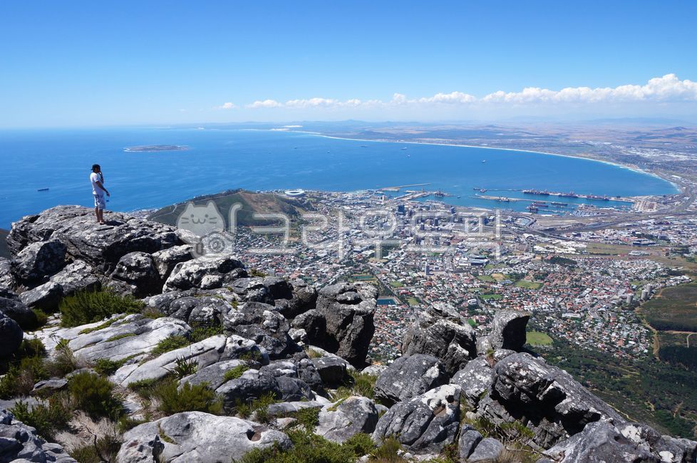 africa,southafrica,nature,south africa,hiking,cape town,summit,mountaineering,capetown,rock,mountain,cityscape,climbing