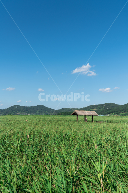 순천만,습지,풍경,자연,landscape,배경화면,sky,하늘,자연,풍경,nature,landscape,한국자연풍경,한국자연경관,korea nature landscape,outdoors,옥외,furniture,가구,bench,벤치,field,들
