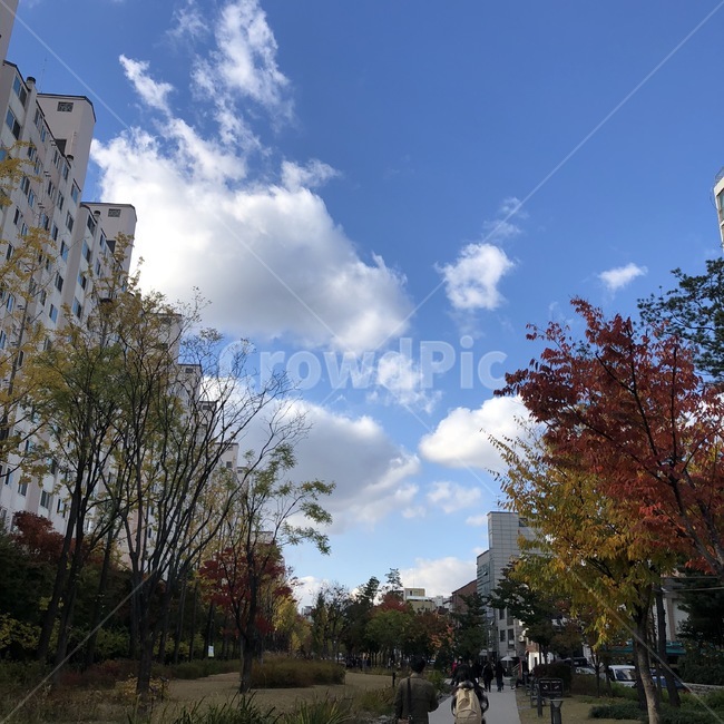 구름,가을,단풍,공원,산책,날씨,하늘,여유,힐링,감성,fall,autumn,sky,healing,relax,walk,stroll,cloud,park,가을,계절,fall,autumn,season
