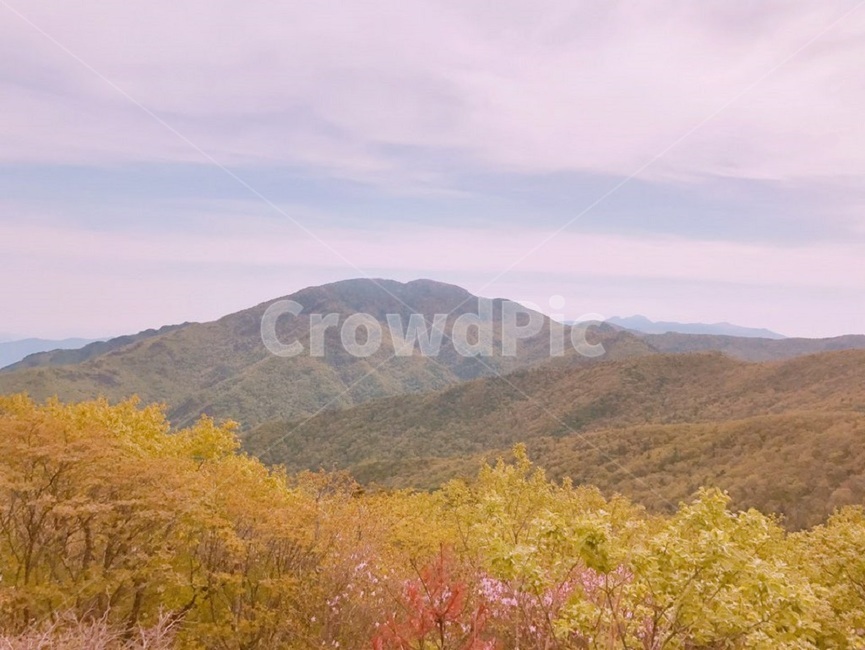 산,자연,가을,가을산,가을배경,나무,자연배경