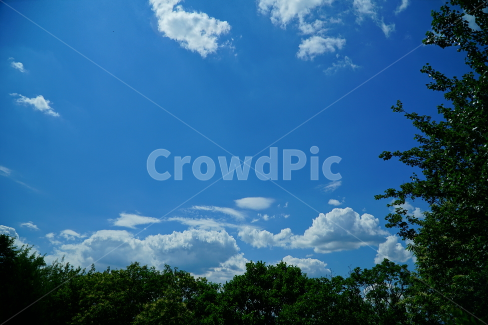 하늘,구름,자연,나무,sky,cloud,nature,tree,블루,blue,푸른하늘,풍경,경치,landscape,scenery,scene,view,korea,seoul,한국,서울,한국자연,mountain,6월,june,초여름