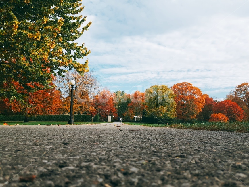 자연,풍경,nature,가을,autumn,나무,tree,단풍