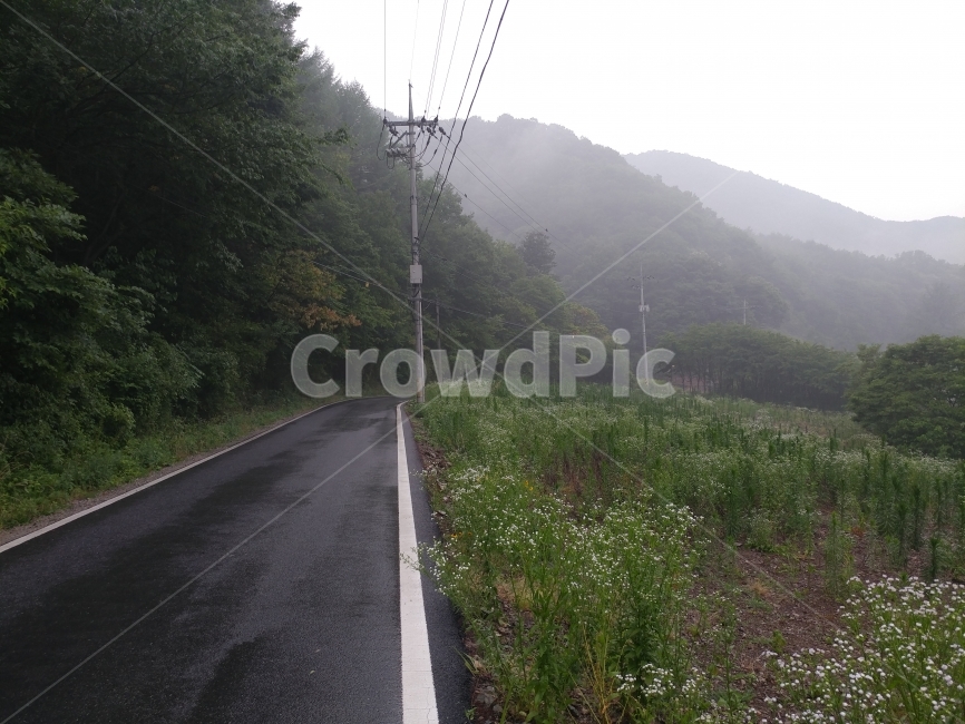 도로,흐린날,시골,비,풍경,자연,풍경,nature,landscape,교통,교통수단,traffic,transportation,asphalt,아스팔트,road