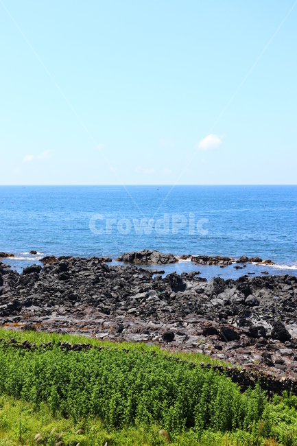 바다,제주도,제주,여름바다,jeju,sea,ocean,세로,하늘,돌,풀,자연,풍경,nature,landscape,한국자연풍경,한국자연경관,korea nature landscape,제주도,jeju,jeju island,promontory,곶
