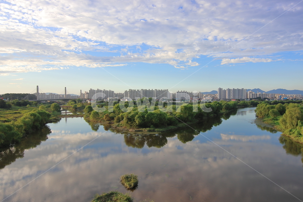 영산강,강,합류,물,풍경,water,nature,자연,outdoors,옥외,하늘,구름,아파트,도시,초록,다리,반영,river,물줄기