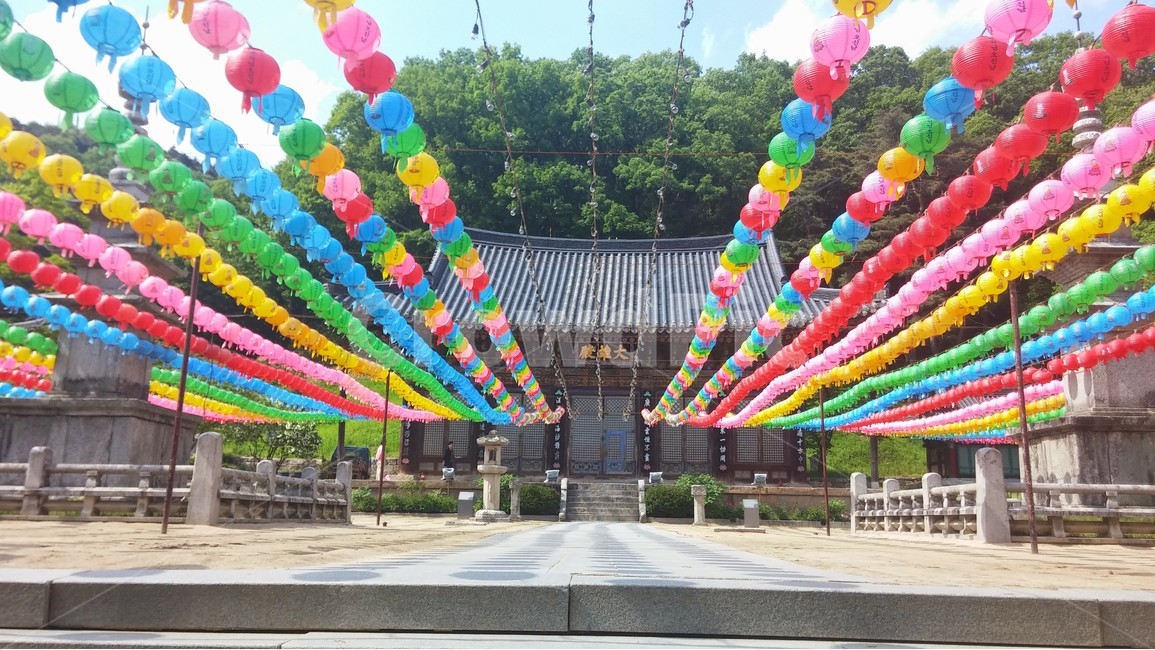 석가탄신일,사찰,5월,연등,초록,오색등,부처님오신날,관등놀이,초파일,연등축제,부처님탄생일,4월초파일,불교,절,산사,종교,직지사,한국전통,한국문화,korean traditional,korean culture,종교,신앙,religion,belief,faith,축제,행사,festival,carnival,event,건축물,건물외관,exterior,building,structure,architecture,construction
